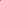 Wool Cashmere - Wild Rose - 150cm